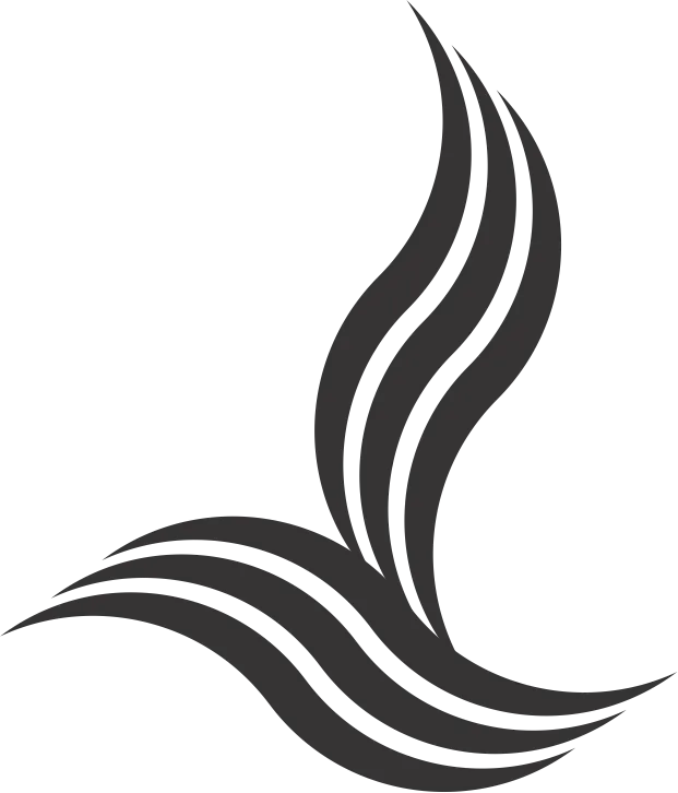 Silenos Radialight Slovenia and Croatia Logo Silenos