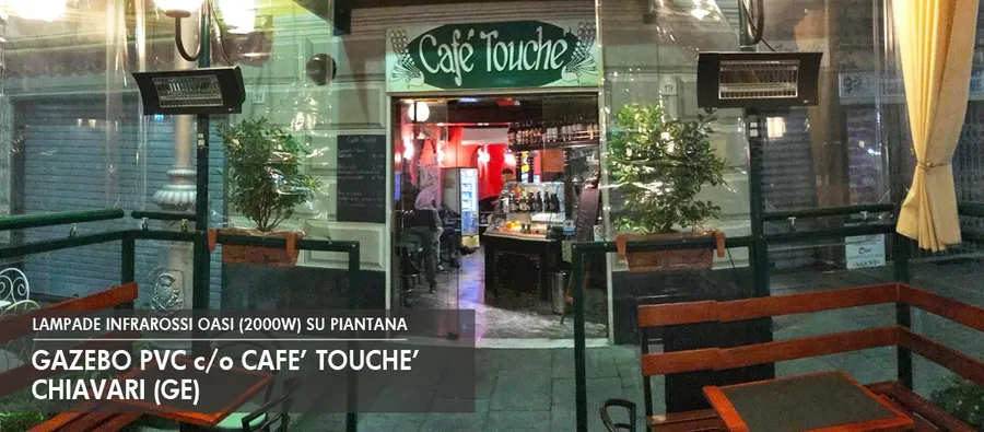 Oasi nera su piantana in un bar di Chiavari