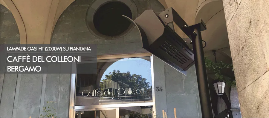 Oasi nera su piantana in esterno